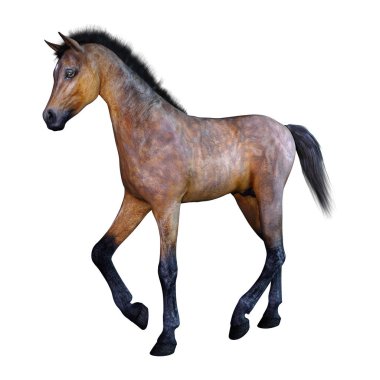 Beyaz arka plan üzerinde izole bir defne at tayı 3D render