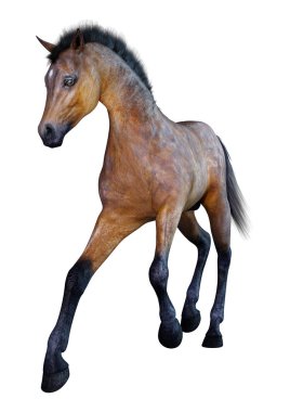 Beyaz arka plan üzerinde izole bir defne at tayı 3D render