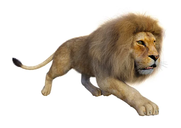 Rendering Male Lion Isolated White Background — Stock Photo, Image