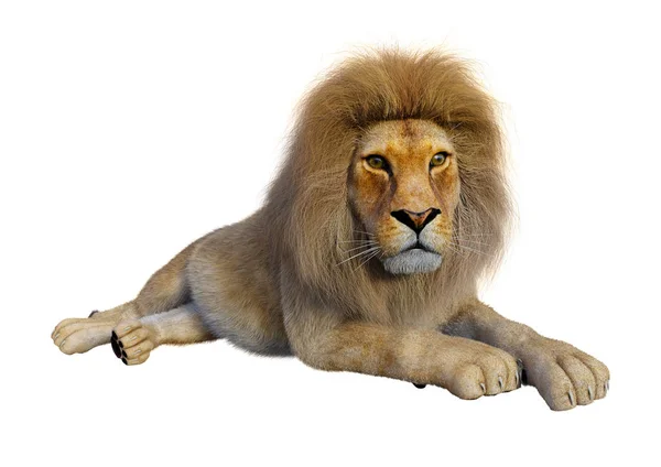 Rendering Male Lion Isolated White Background — Stock Photo, Image