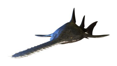 bir Onchopristis, beyaz arka plan üzerinde izole soyu tükenmiş dev sclerorhynchid balık cinsi bir 3D render
