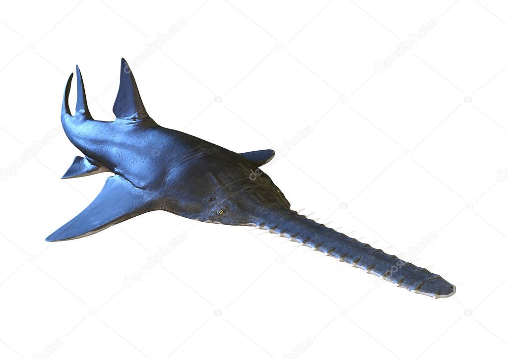3D rendering of an Onchopristis, a genus of extinct giant sclerorhynchid sawfish isolated on white background