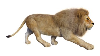 Beyaz arka planda izole edilmiş bir erkek aslanın 3 boyutlu görüntüsü