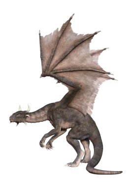 Beyaz arka planda izole edilmiş bir fantezi ejderhanın 3 boyutlu canlandırması