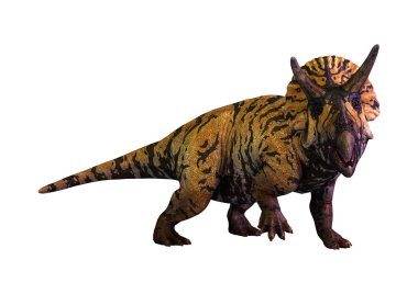 bir dinozor Triceratops beyaz arka plan üzerinde izole 3D render
