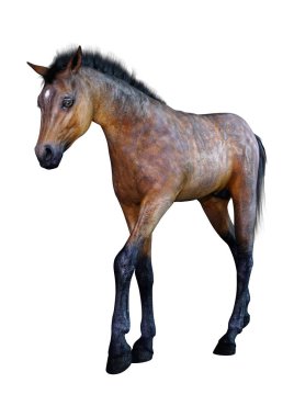 Beyaz arka plan üzerinde izole bir defne at tayı 3D render