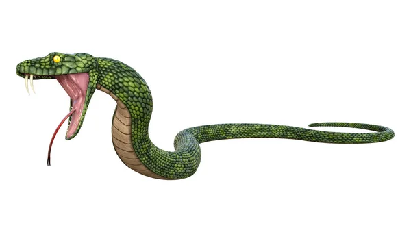 3D Rendering Giant Fantasy Snake su Bianco — Foto Stock