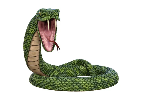 3D representación gigante fantasía serpiente en blanco —  Fotos de Stock