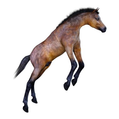 3D render at yavru beyaz