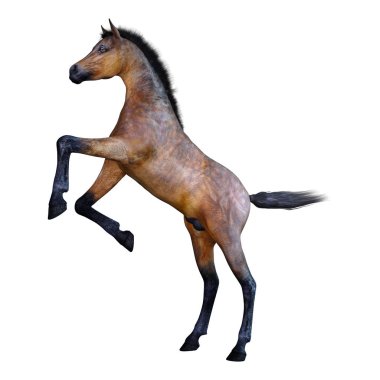 3D render at yavru beyaz