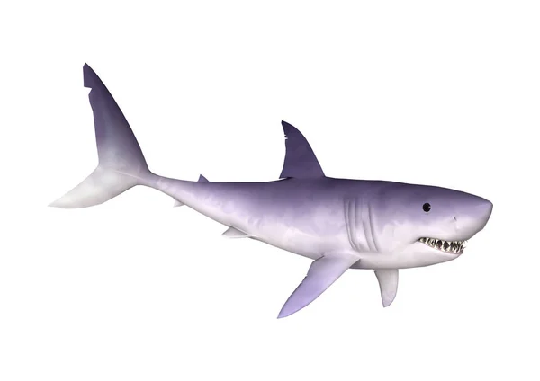 3D Rendering Shark su bianco — Foto Stock