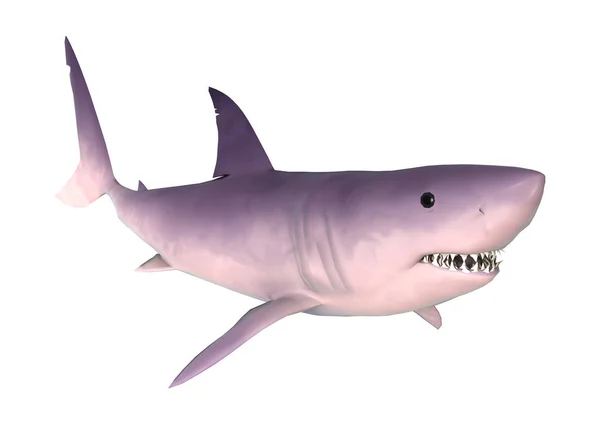 3D vykreslování žralok na bílém — Stock fotografie