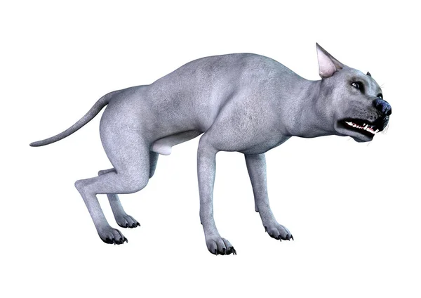 3D vykreslování modré Grate Dane psa na bílém — Stock fotografie