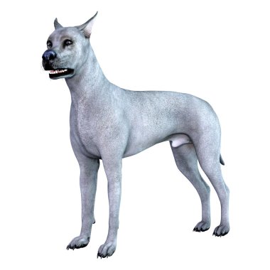 3D Render mavi büyük Dane köpeği beyaz