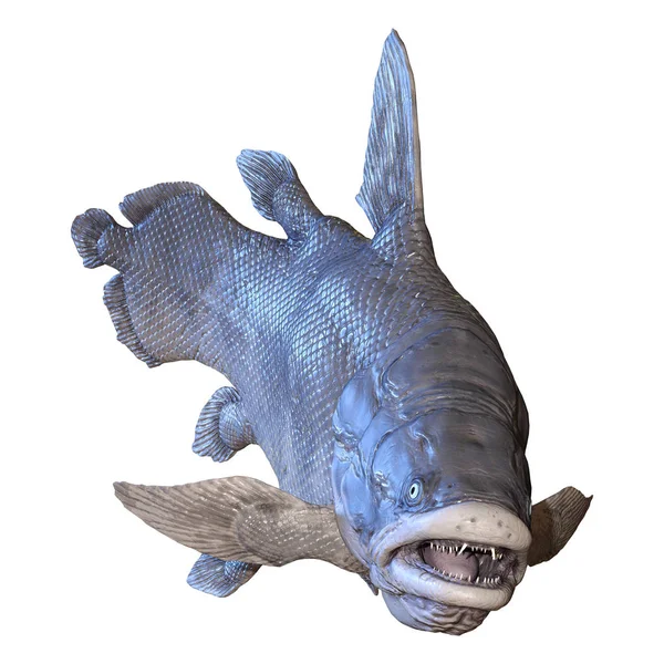3D rendering Mawsonia fisk på vit — Stockfoto