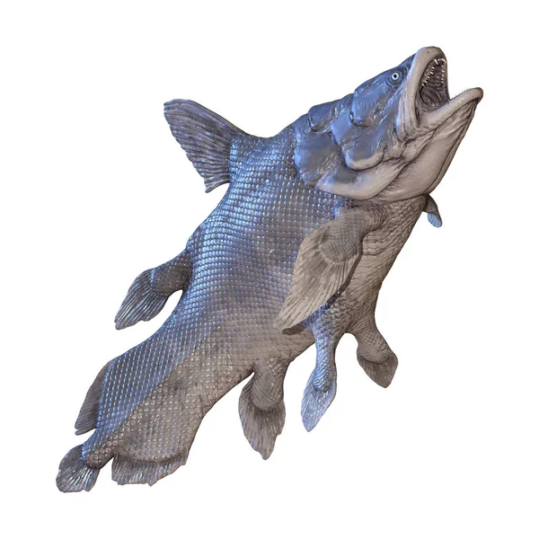 3D rendering Mawsonia fisk på vit — Stockfoto