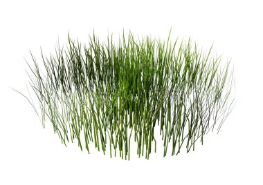 Çimenlerin üzerinde beyaz bir 3D render yama