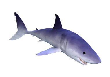 Beyaz 3D render köpekbalığı