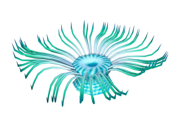 Beyaz üzerinde 3D Rendering deniz anemone — Stok fotoğraf