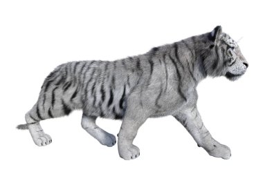 3D beyaz beyaz kaplan oluşturma
