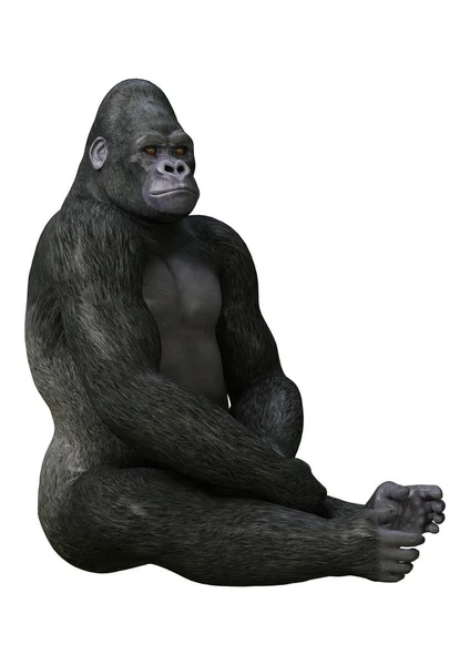 在白色的 3d 渲染大猩猩。 — 图库照片