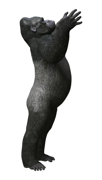 3D renderowania Gorilla na białym — Zdjęcie stockowe
