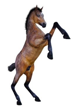 3D render at yavru beyaz