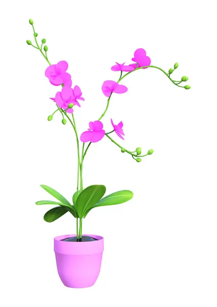 Plante d'orchidée en fleurs de rendu 3D sur le blanc — Photo