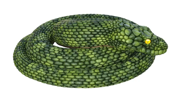 3D representación gigante fantasía serpiente en blanco —  Fotos de Stock
