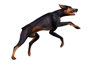 3D render Doberman köpek beyaz