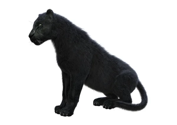 3D Rendering Black Panther auf Weiß — Stockfoto