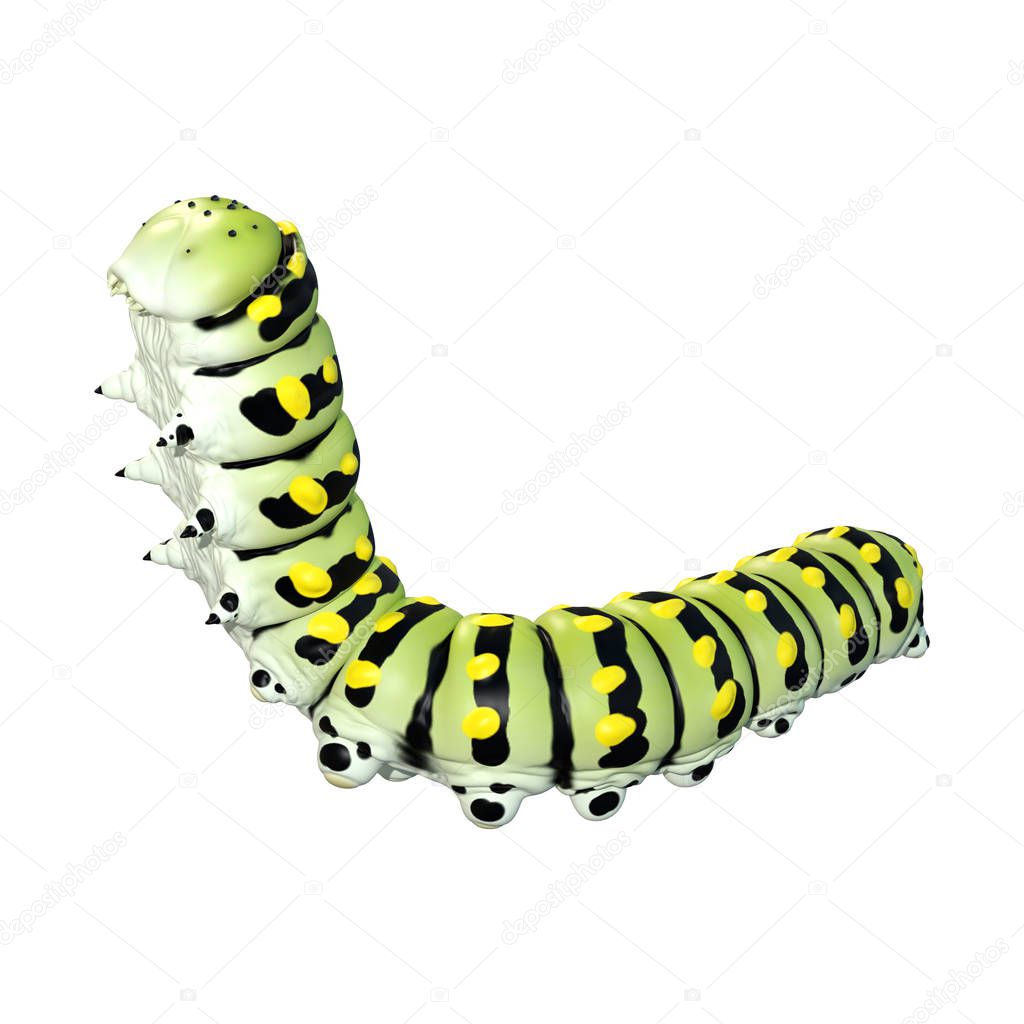 3D Rendering Worm Caterpiller on White