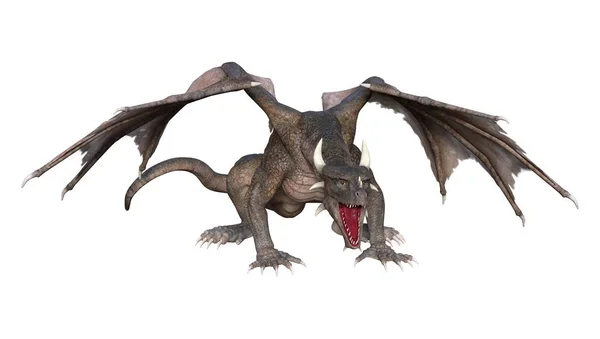 3D rendering Saga Dragon på vit — Stockfoto