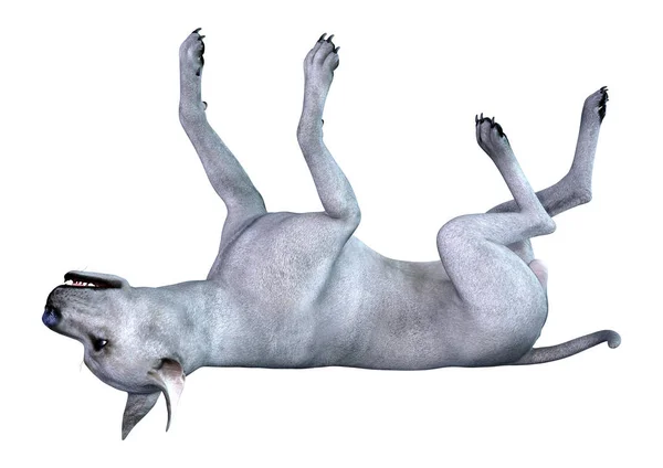 화이트에 3d 렌더링 블루 위대한 데 인 개 — 스톡 사진