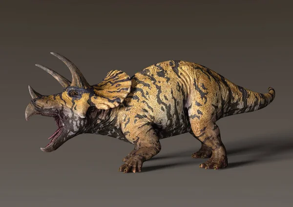 Prostorové vykreslování dinosauří Triceratops — Stock fotografie