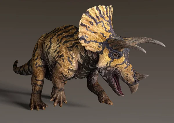 3D-rendering dinosaurie Triceratops — Stockfoto