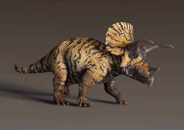 Dinosauro di rendering 3D Triceratops — Foto Stock