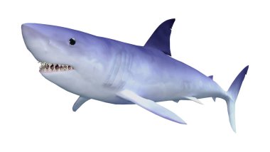Beyaz 3D render köpekbalığı