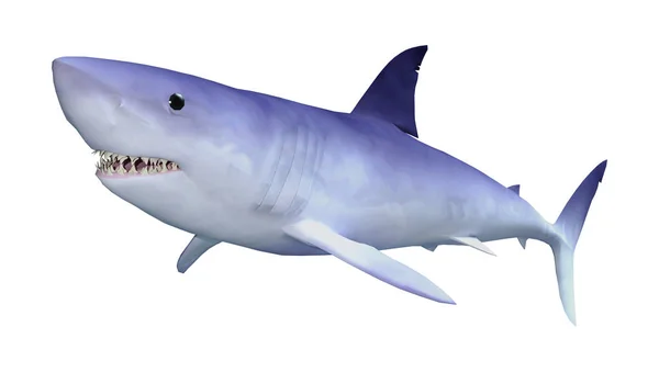 Beyaz 3D render köpekbalığı — Stok fotoğraf