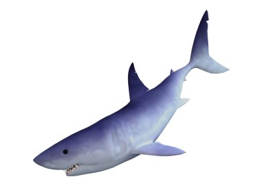 Beyaz 3D render köpekbalığı