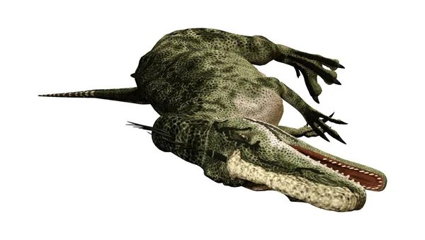 3D renderowania dinozaur jaszczurka na białym — Zdjęcie stockowe