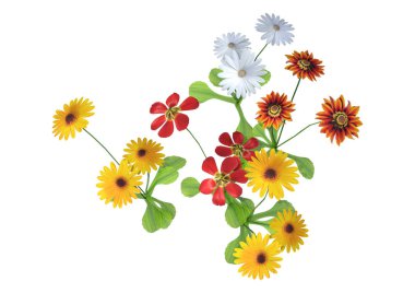 3d Rendering Papatya Çiçekler Beyaz