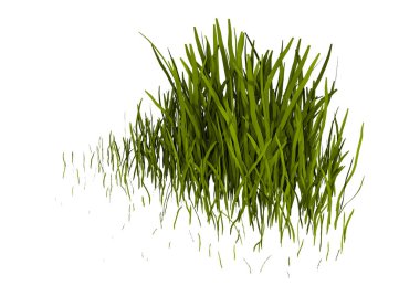 Çimenlerin üzerinde beyaz bir 3D render yama