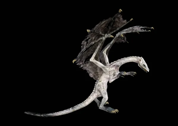 3D vykreslení pohádkový drak na černém — Stock fotografie
