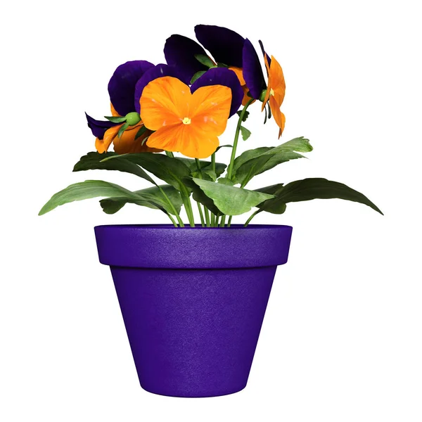 3D rendering viooltje bloemen op wit — Stockfoto