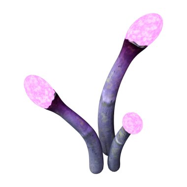 Beyaz üzerine 3D render yabancı bitki