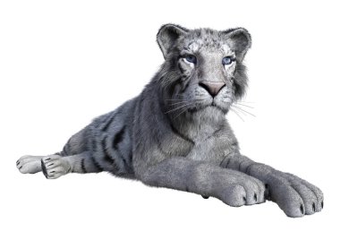 3D beyaz beyaz kaplan oluşturma