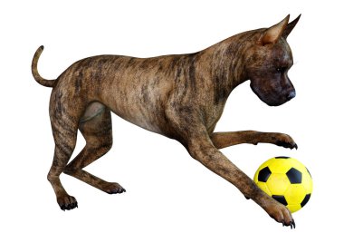 3D render brindle büyük Dane köpek beyaz