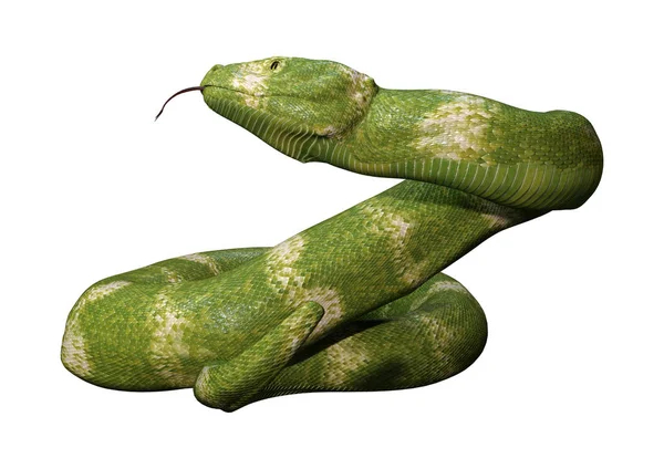 3D rendering Viper Snake op wit — Stockfoto