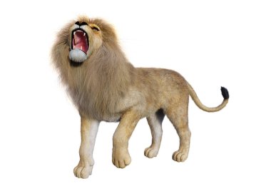 Beyaz üzerine 3D render erkek aslan